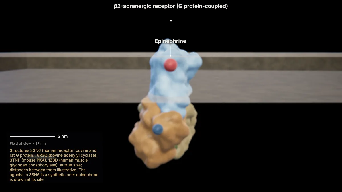 Labeled 3D model: reception