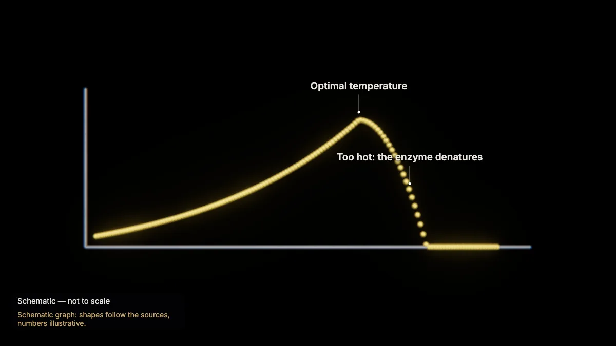 Labeled 3D model: temperature